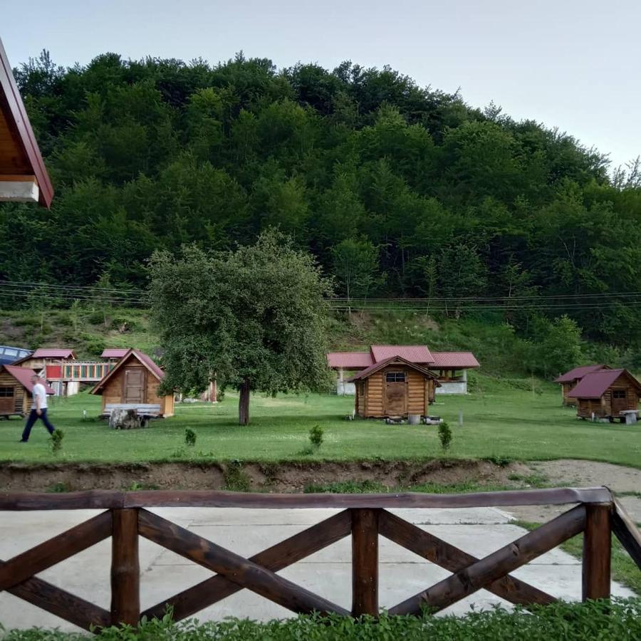 Camp &Apartmens Scepanovic 莫伊科瓦茨 外观 照片
