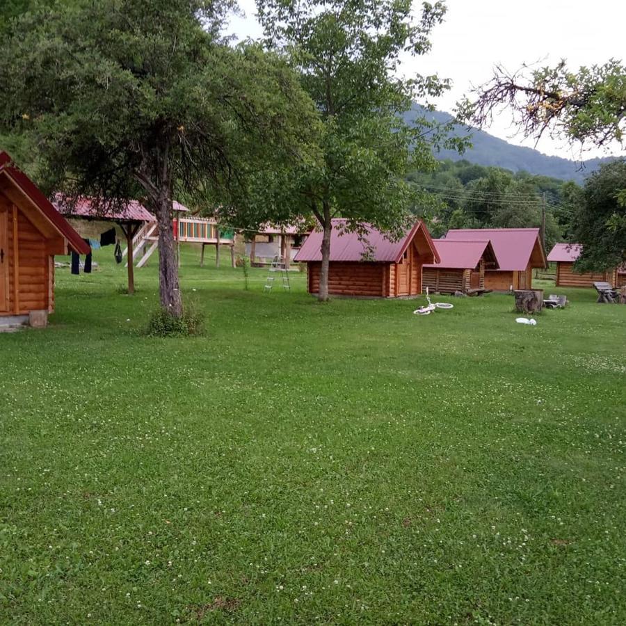 Camp &Apartmens Scepanovic 莫伊科瓦茨 外观 照片