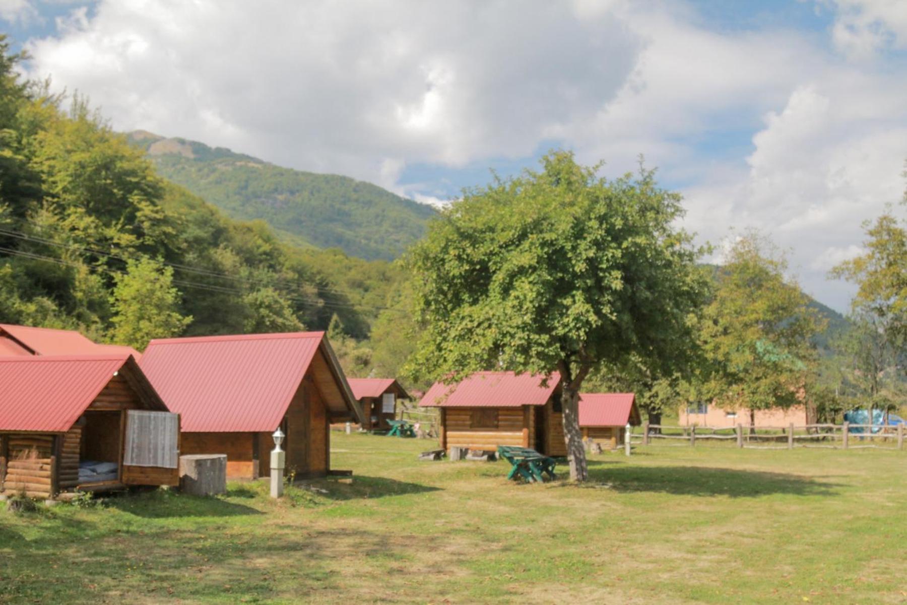Camp &Apartmens Scepanovic 莫伊科瓦茨 外观 照片