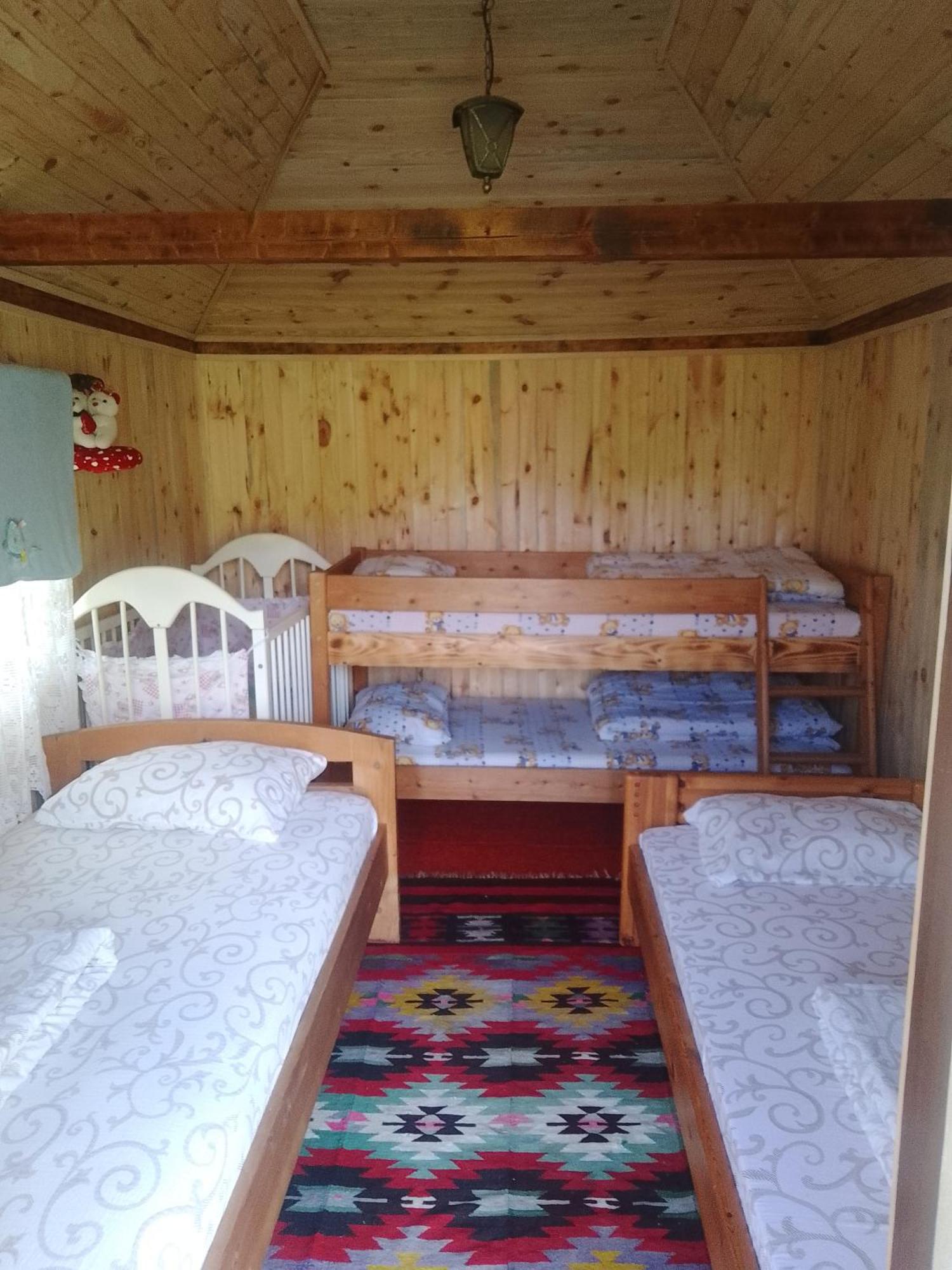 Camp &Apartmens Scepanovic 莫伊科瓦茨 外观 照片