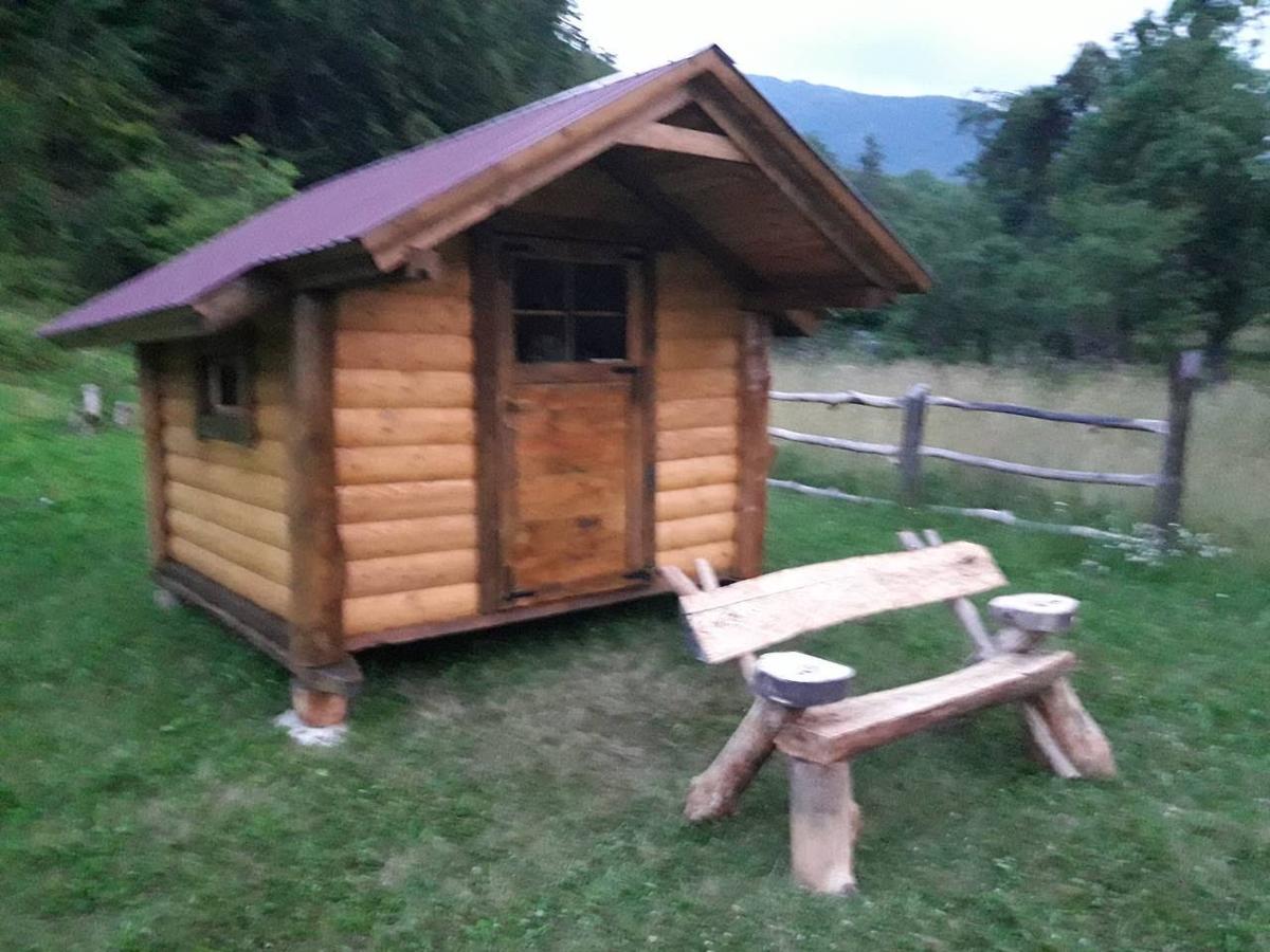 Camp &Apartmens Scepanovic 莫伊科瓦茨 外观 照片